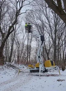 Entti puutarhuri ylläpito talvi arboristi nosturi