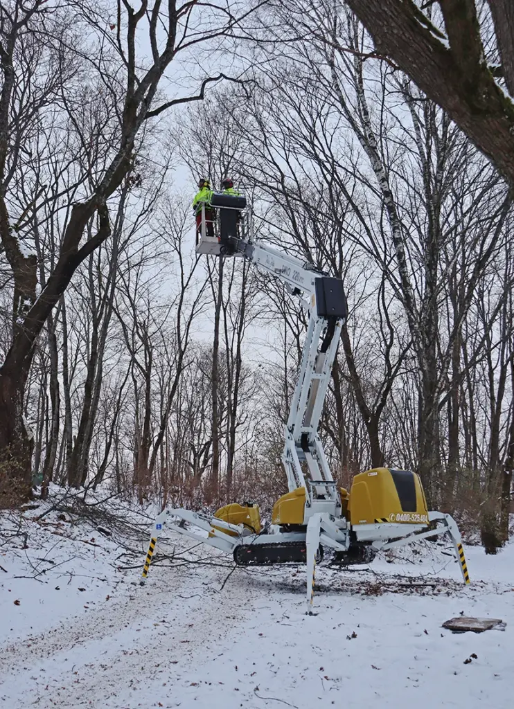 Entti puutarhuri ylläpito talvi arboristi nosturi