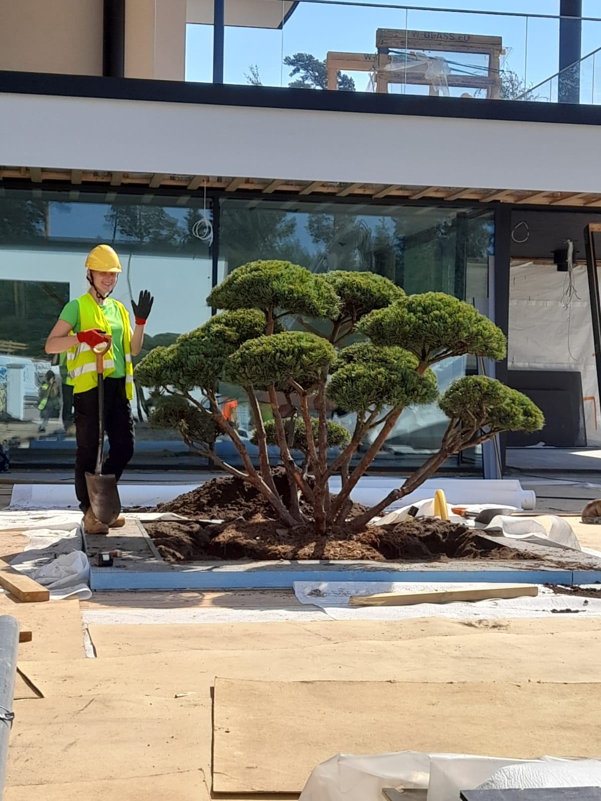 Bonsaimännyn istuttaminen Entti Uusimaan kohteessa