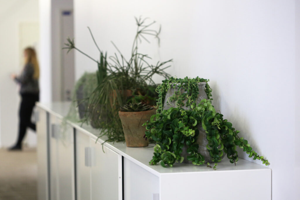 Entti Design vihersisustus Helsinki liiketilat viherkasvit