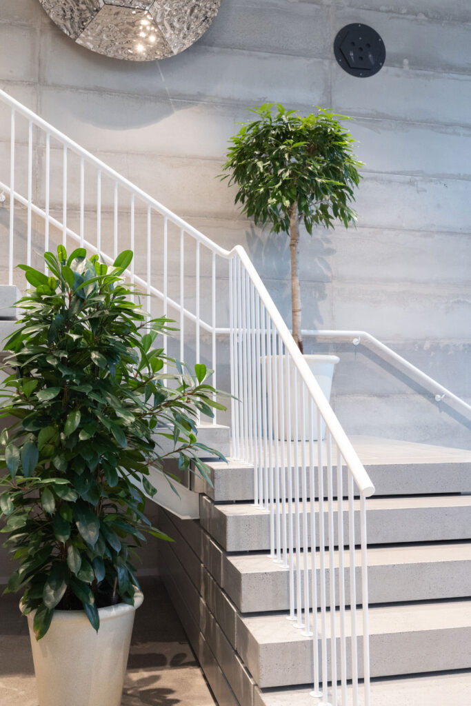 Entti Design vihersisustus Helsinki Unity porraskäytävän viherkasvit