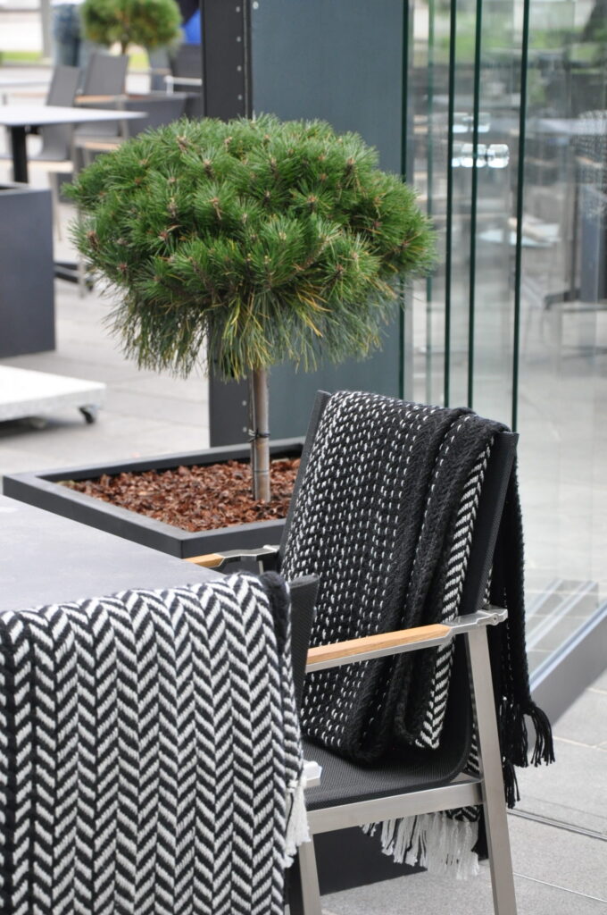 Entti Design vihersisustus, musiikkitalo Helsinki