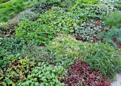 Tampereen Hiedanrannan perennamatot