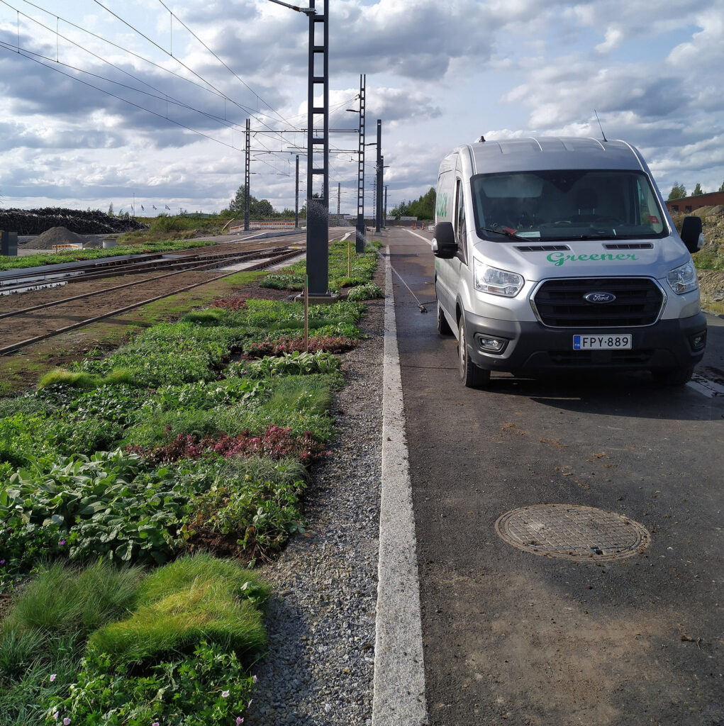 Tampereen raitiotien perennamattojen istutus, lähiluonto, kaupunkiympäristö, monimuotoisuus
