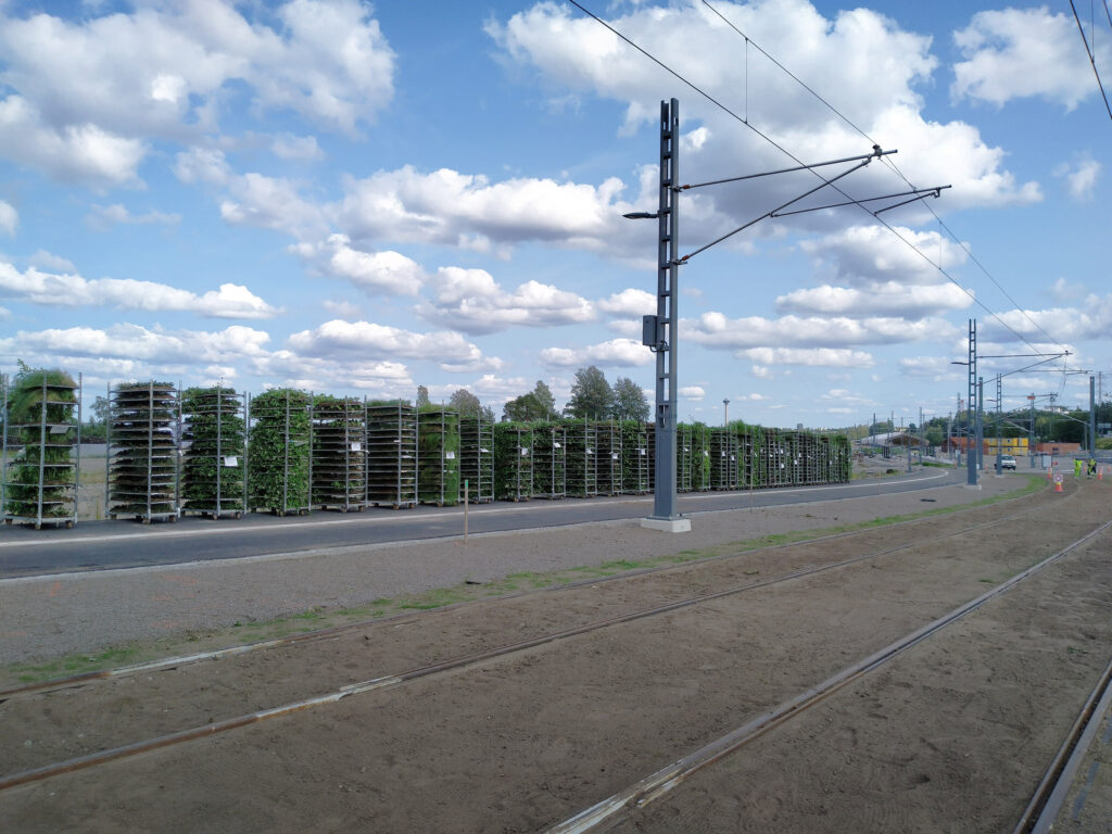 Raitiotien viherinfrastruktuuri, monimuotoiset perennamatot