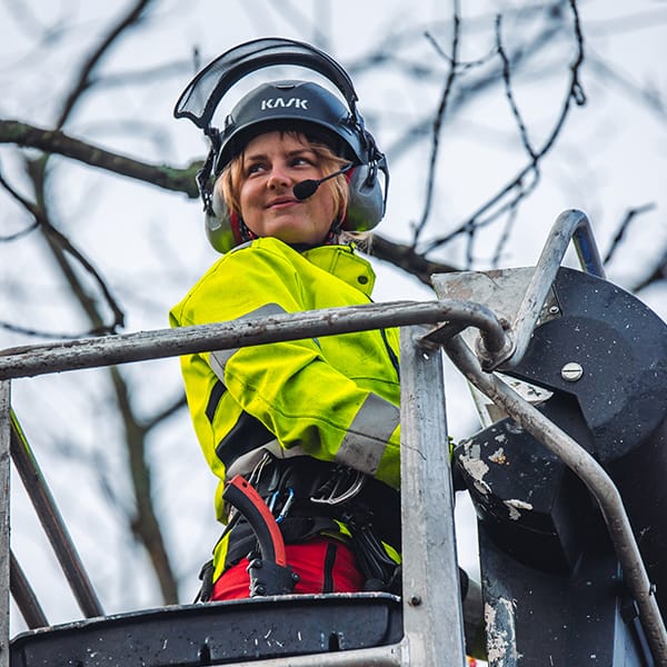 arboristi nostokori puunhoito puiden hoito