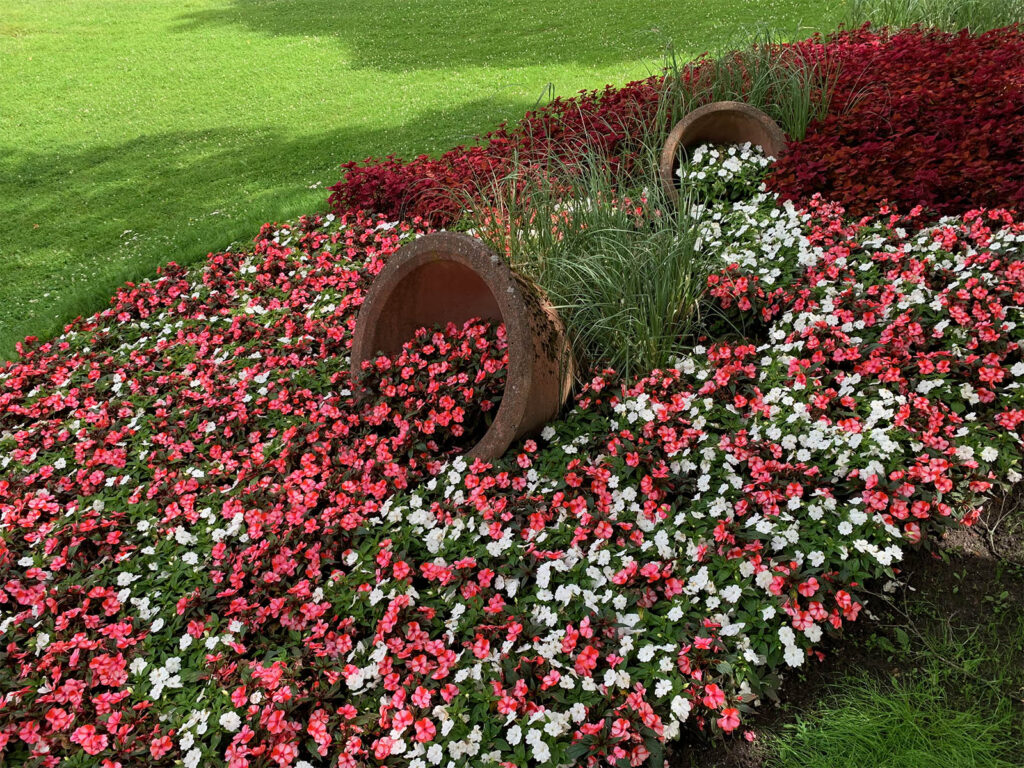 Turun kaupungin kesäkukat kaskenkatu puutarhuri