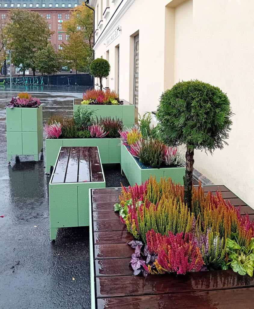 Entti Design kausikasvit vihersisustus vihersuunnittelu yritys viherhuolto puutarhuri