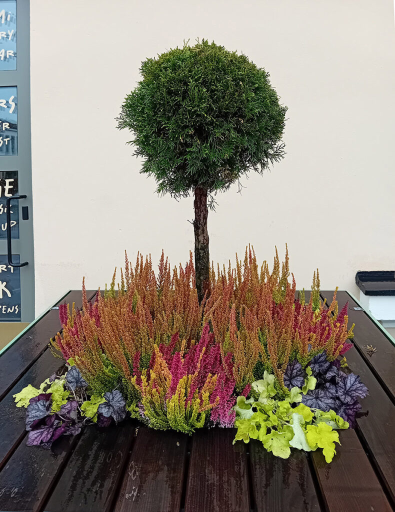 Entti Design kausikasvit vihersisustus vihersuunnittelu yritys viherhuolto puutarhuri