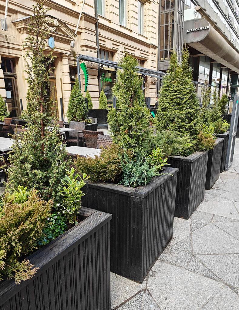 Entti Design kausikasvit vihersisustus vihersuunnittelu yritys viherhuolto puutarhuri