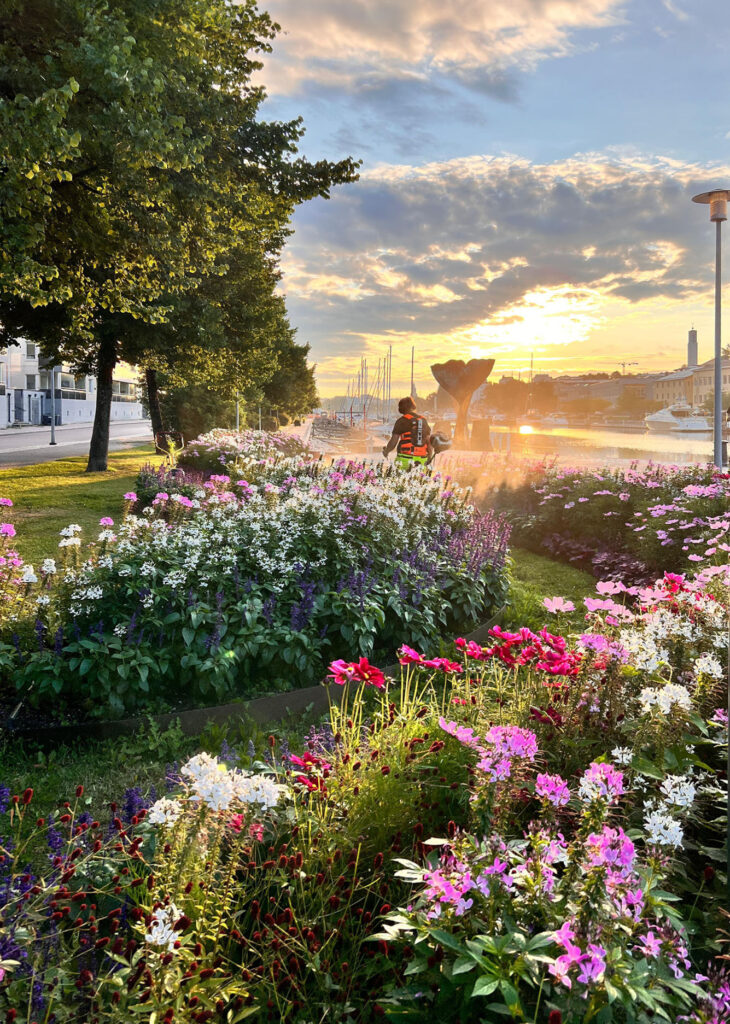 Entti Group Oy:n puutarhuri tekee pihan, puutarhan ja viheralueiden hoitoa