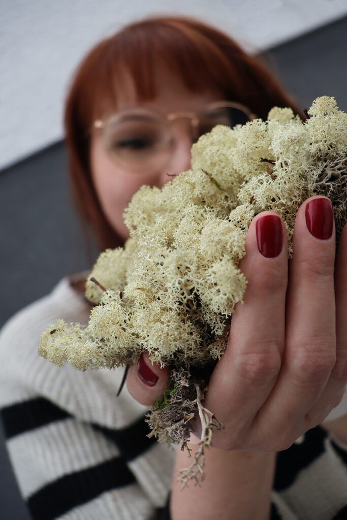 Entti Design maisemasuunnittelija jäkälä