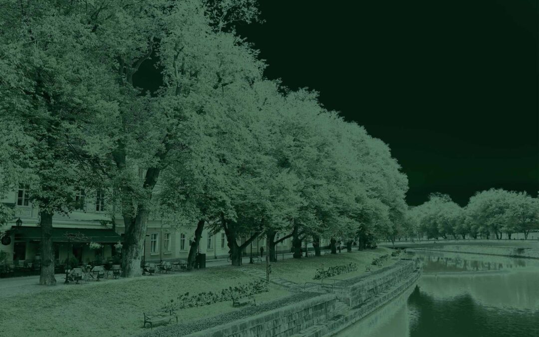 AI, LiDAR ja ekosysteemipalvelut