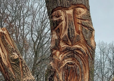 Raunistulan joukkoliikennekatu