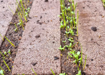 M2-kodit Verkkoneula ja ASO Marianne