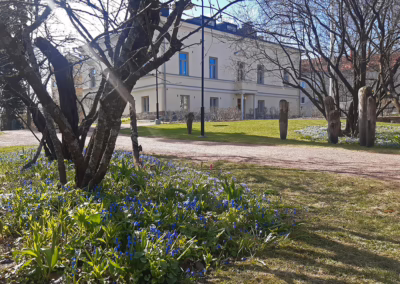 Lauttasaaren kartanon puutarha