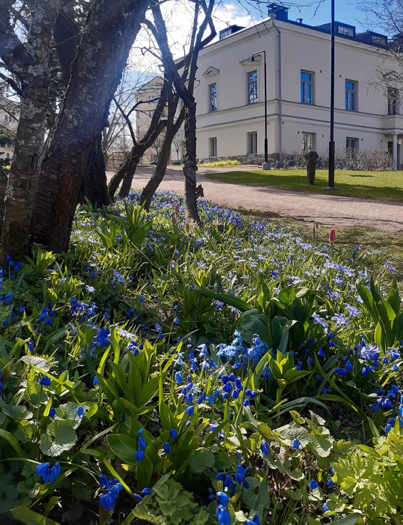 entti uusimaa ylläpito lauttasaaren kartano sinililjat