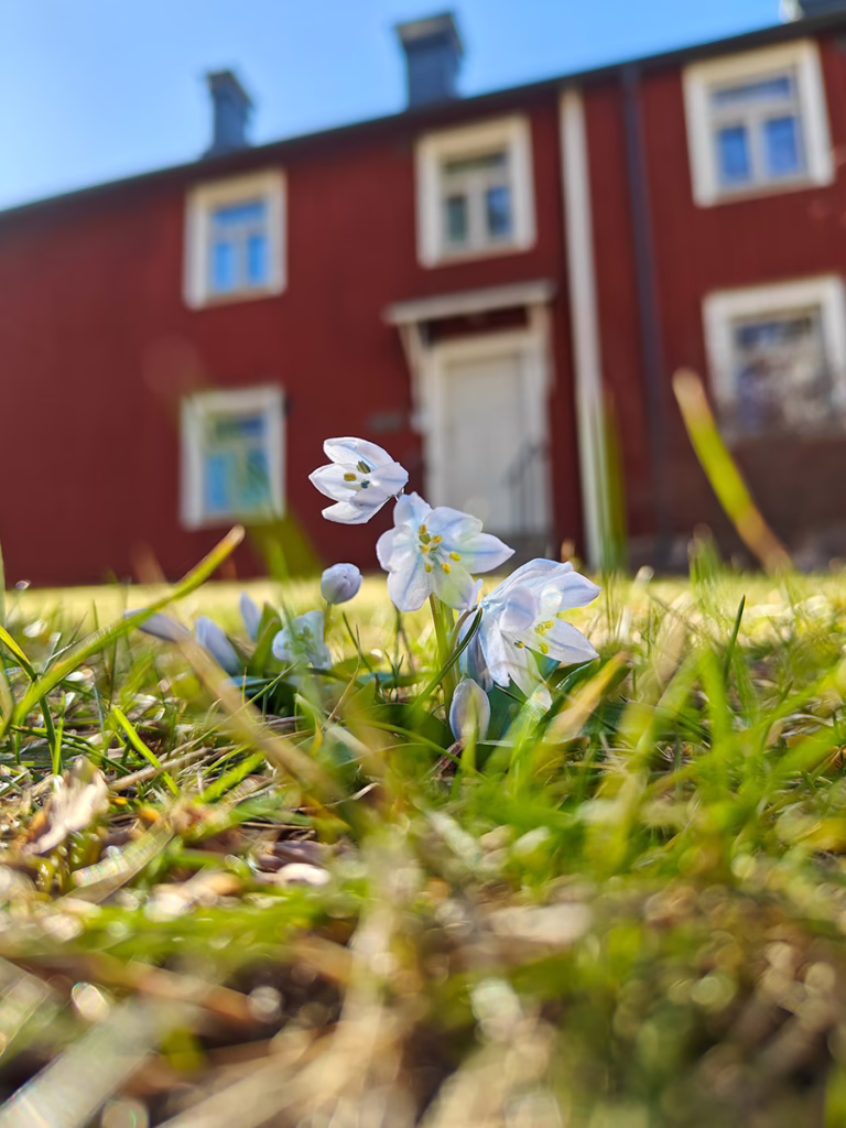 entti uusimaa puutarhuri kevät lauttasaaren kartano skilla