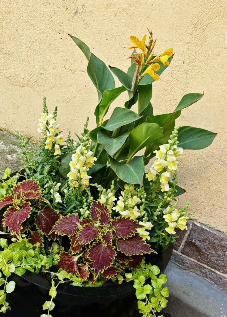 Entti Design kausikasvit vihersisustus vihersuunnittelu yritys viherhuolto puutarhuri