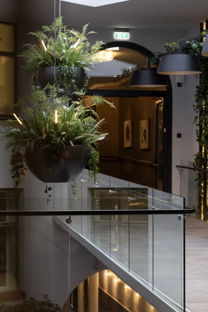 Entti Design vihersisustus Helsinki hotelli käytävä suuret amppelit ruukut