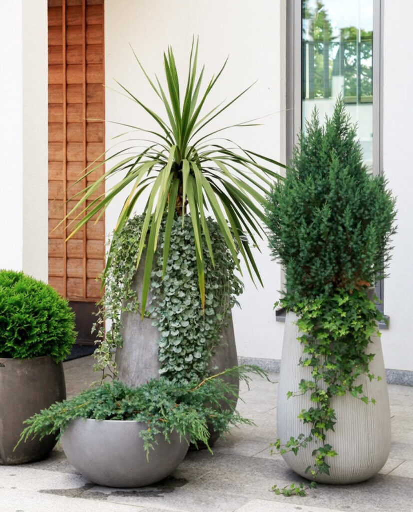 Entti Design kausikasvit vihersisustus vihersuunnittelu yritys viherhuolto puutarhuri