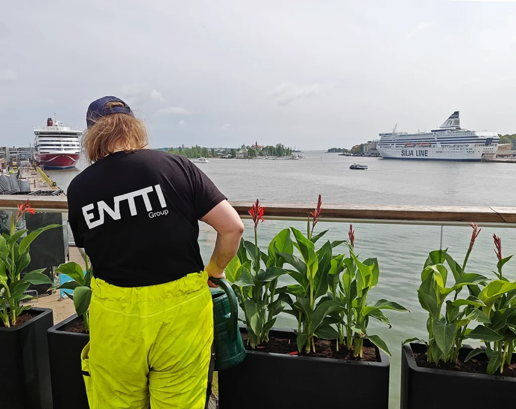 uusimaa viherrakentaja allas sea pool valmis kastelu kausikasvit hoito viherkasvien ylläpito