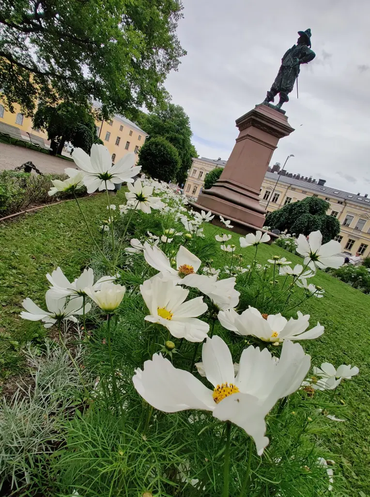 Entti Desentti 2023 brahen puisto kukat