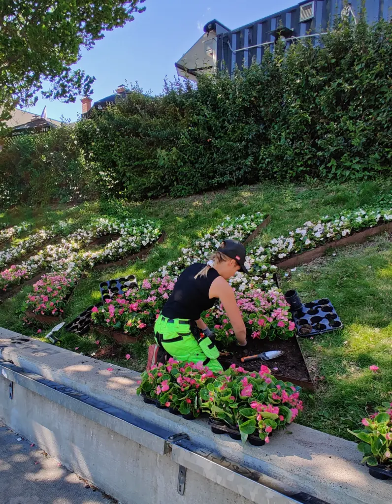 Entti Desentti laura 2023 jokiranta turkuteksti