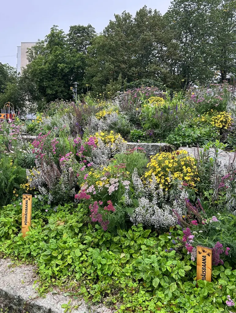 Entti Desentti laura 2023 pörriäisbaana