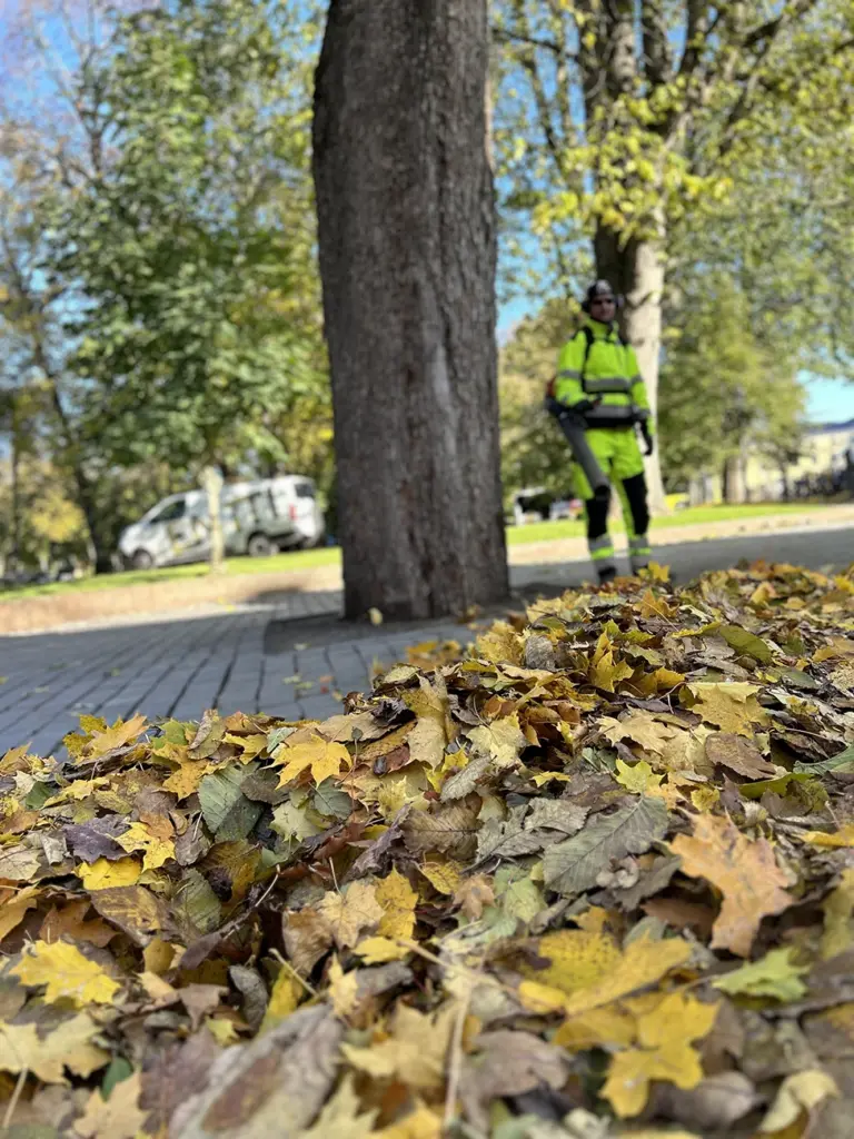 Entti Desentti laura 2023 syksy lehtipuhallin
