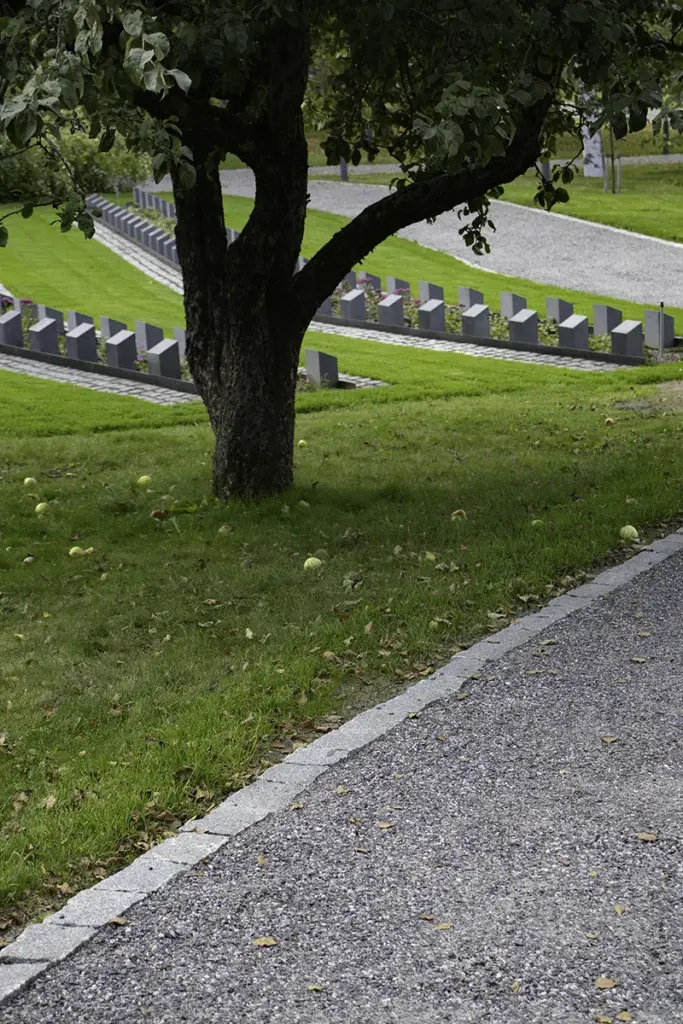 Entti VS Katariinan hautausmaan muistolehto omenapuulta alas