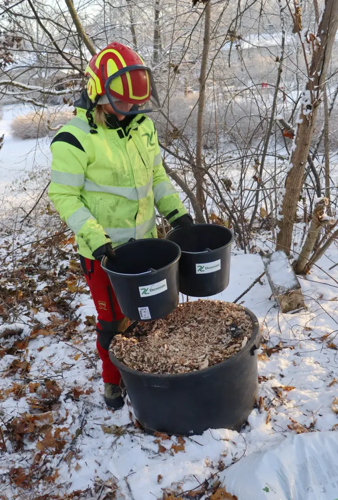 entti arboristi tuomaanpuisto GOOD SOUP