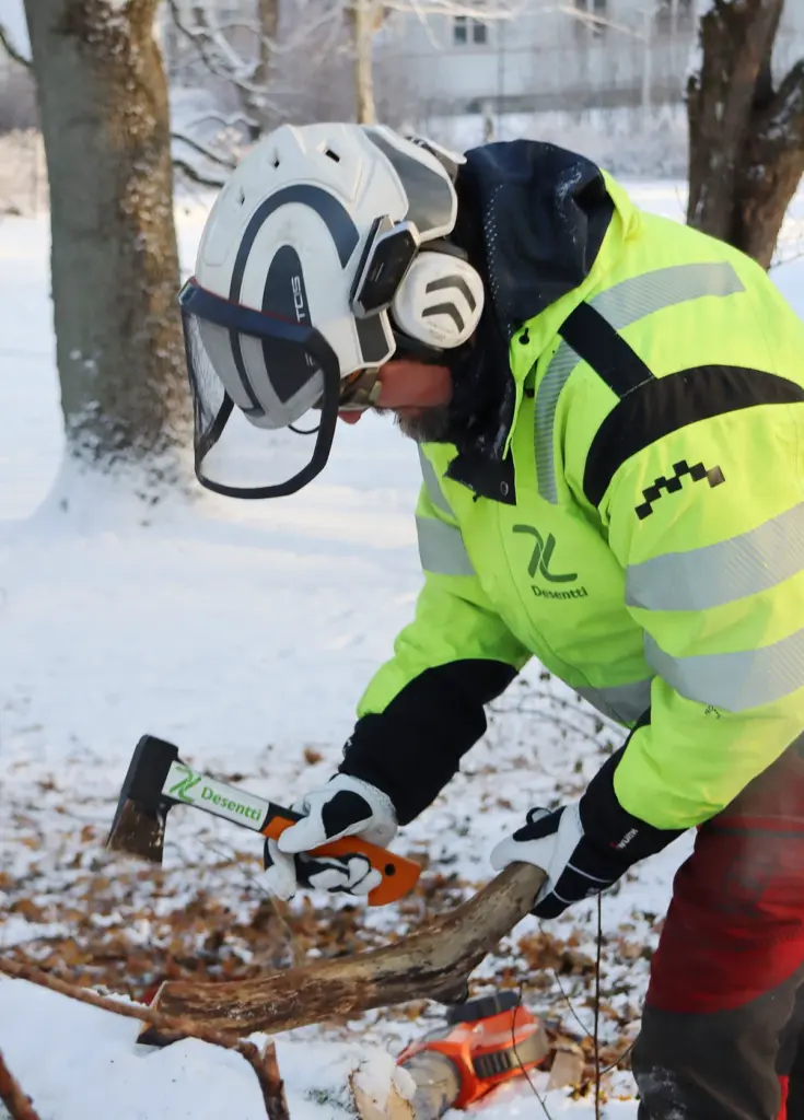 entti arboristi tuomaanpuisto pikkukirves