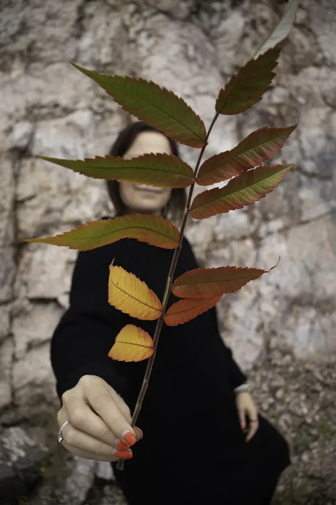 Entti design vihersisustus vihersuunnittelu