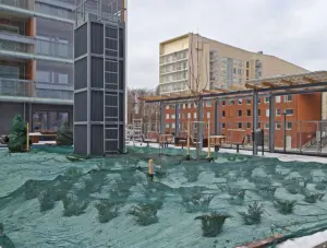 Entti Uusimaa Helsinki Espoo kansipiha havujen varjostus