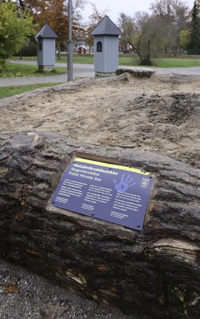 Entti VS desentti arboristi kupittaanpuisto metsämikrobit hiekkalaatikko