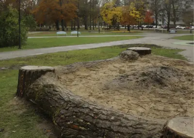 Kupittaanpuiston metsämikrobilaatikko