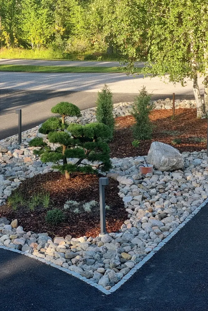 entti design pihasuunnittelu, bonsaimänty